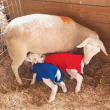 Load image into Gallery viewer, NEWBORN LAMB &amp; KID COVERS
