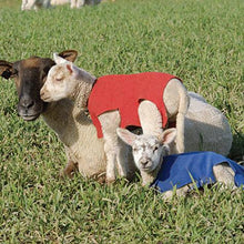 Load image into Gallery viewer, NEWBORN LAMB &amp; KID COVERS
