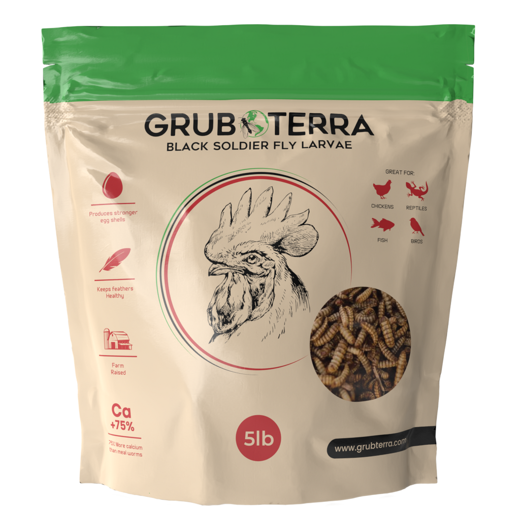 GrubTerra Black Soldier Fly Larvae | 5lb & 10lb Bags