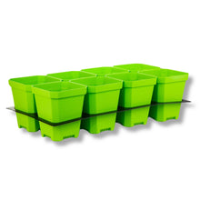 Load image into Gallery viewer, 5&quot; Nursery Pots with Insert Tray
