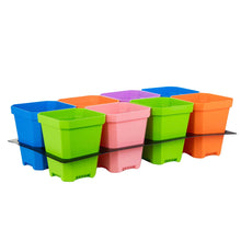 Load image into Gallery viewer, 5&quot; Nursery Pots with Insert Tray
