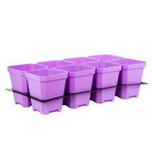 Load image into Gallery viewer, 5&quot; Nursery Pots with Insert Tray
