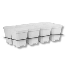 Load image into Gallery viewer, 5&quot; Nursery Pots with Insert Tray
