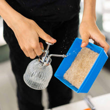 Load image into Gallery viewer, Classroom Microgreens Bundle
