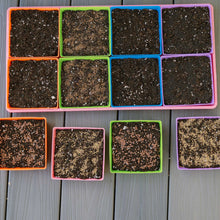 Load image into Gallery viewer, 5X5 Shallow Microgreen Trays

