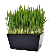Load image into Gallery viewer, 5x5 Grow Trays - Extra Strength Inserts
