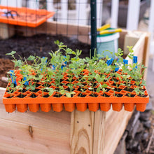 Load image into Gallery viewer, Air Prune Propagation Tray - 72 Cell
