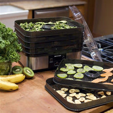 Load image into Gallery viewer, 6-Tray Digital Dehydrator

