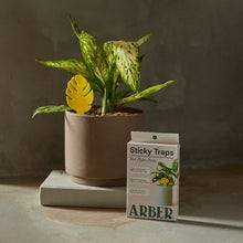 Load image into Gallery viewer, Sticky Traps for Plant Pests
