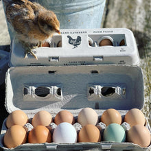 Load image into Gallery viewer, Henlay Laid Local Egg Cartons- Adorable Printed Vintage Design- 25, 90, or 250
