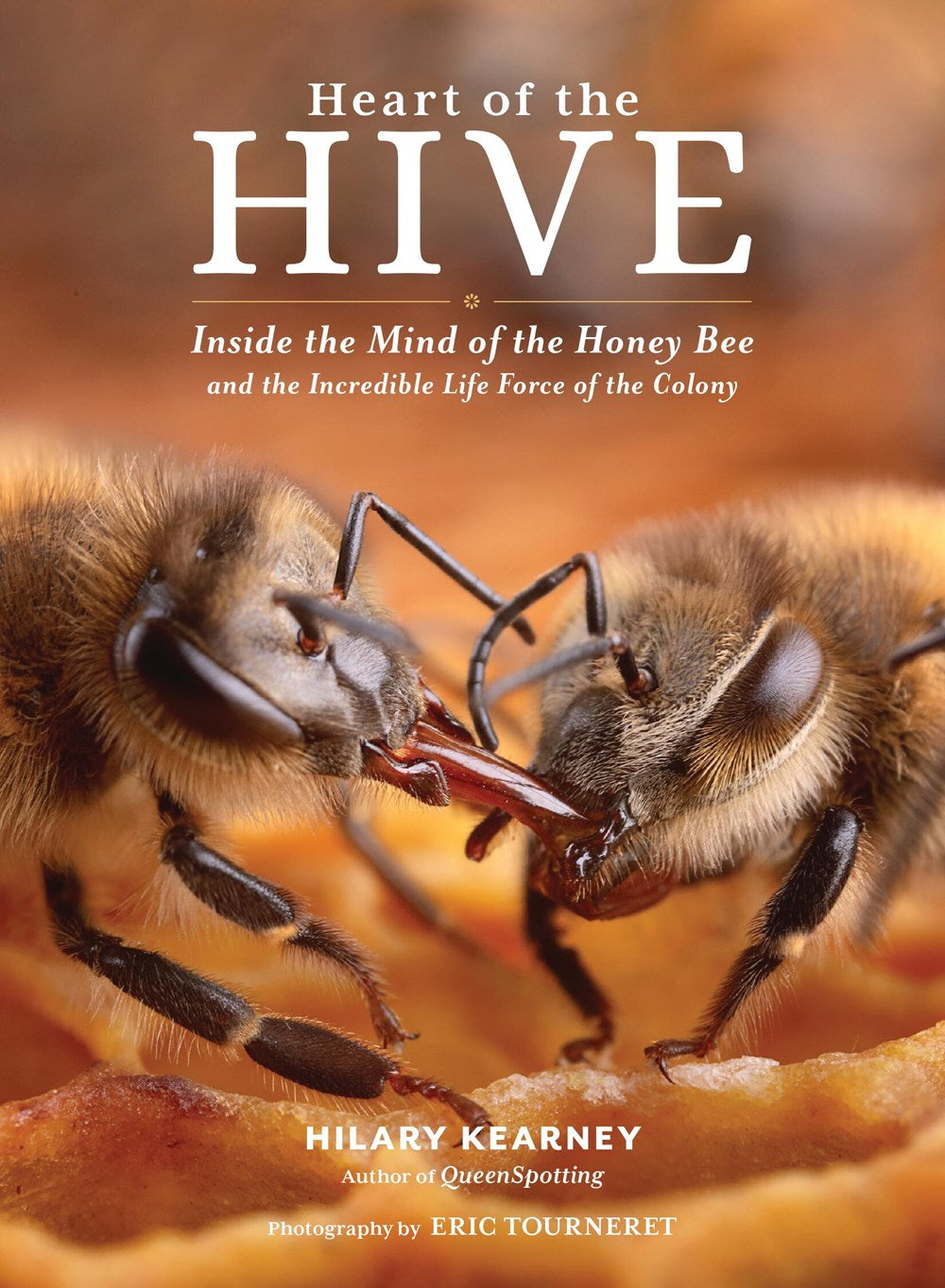 Heart Of The Hive