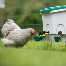 Load image into Gallery viewer, AviAqua 2 Gal Poultry Drinker - 3 Cups
