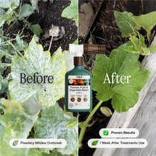 Load image into Gallery viewer, Organic Tomato, Fruit &amp; Vegetable Boost
