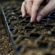 Load image into Gallery viewer, The Market Gardener Seed Starting Bundle
