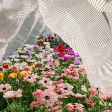 Load image into Gallery viewer, Greenhouse Aluminum White Shade Cloth- 50%

