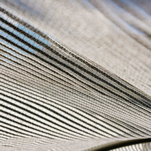 Load image into Gallery viewer, Greenhouse Aluminum White Shade Cloth- 50%
