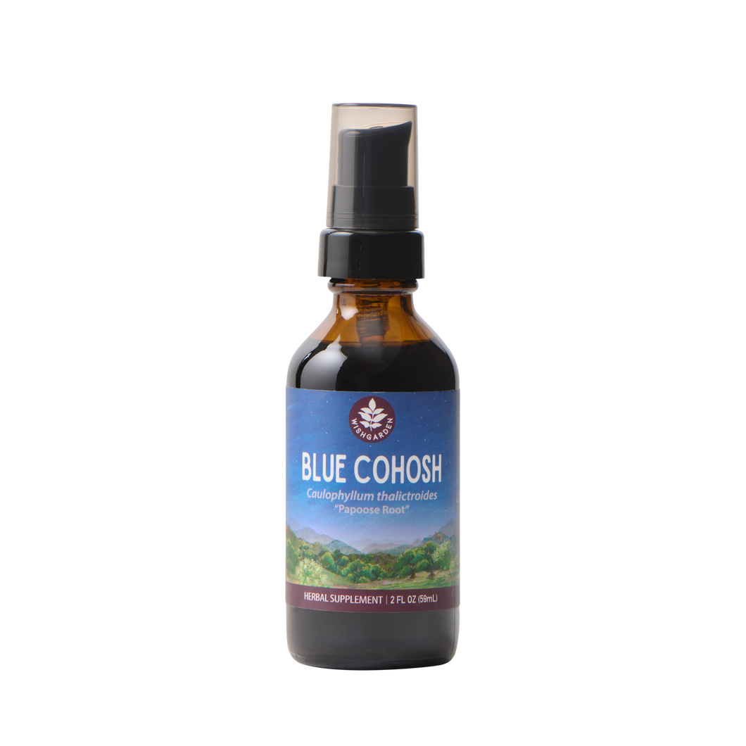 Blue Cohosh