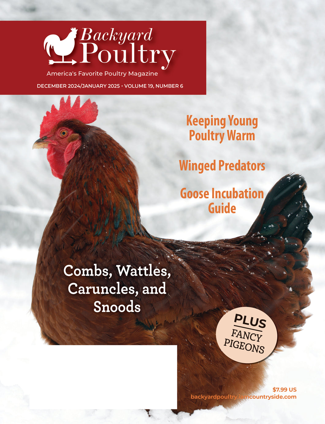 BACKYARD POULTRY MAGAZINE, DECEMBER 2024/JANUARY 2025