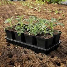 Load image into Gallery viewer, 5&quot; Heavy Duty Nursery Pots
