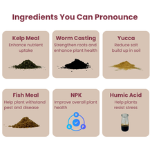 Load image into Gallery viewer, Bloom Juice Award-Winning Formula
