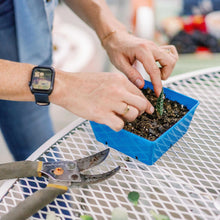 Load image into Gallery viewer, 5x5 Grow Trays - Extra Strength Inserts
