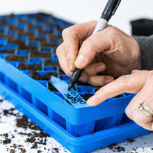 Load image into Gallery viewer, Air Prune Propagation Tray - 72 Cell
