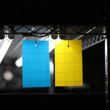 Load image into Gallery viewer, Pest Control Sticky Trap Cards
