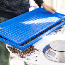 Load image into Gallery viewer, 1020 Microgreen Trays - Shallow Extra Strength Colors
