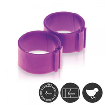 Load image into Gallery viewer, Poultry Leg Bands - 6 mm - Pack of 25
