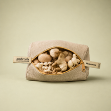 Load image into Gallery viewer, Mushroom Bag
