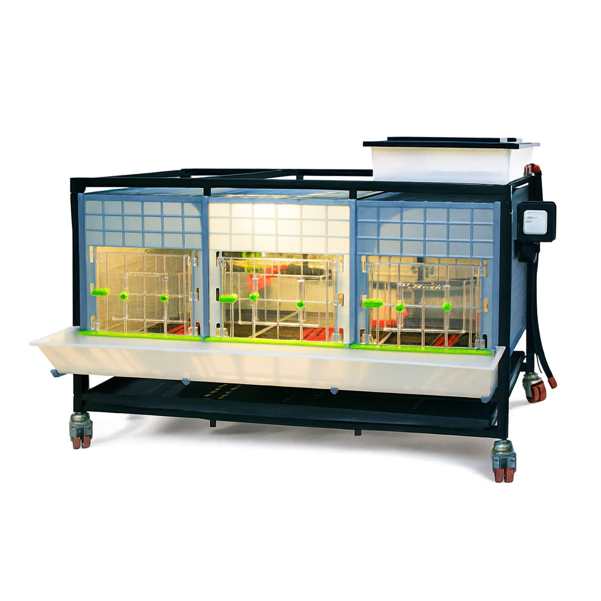 Chick Brooder - 1 Layer H: 15