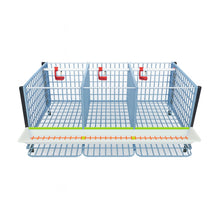 Load image into Gallery viewer, Chicken Cage - 1 Layer H: 15"
