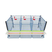 Load image into Gallery viewer, Chicken Cage - 1 Layer H: 15&quot;
