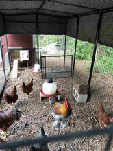 Load image into Gallery viewer, Walk-In 15 ft. Chicken Run (6&#39;6&quot;W x 15&#39;L x 6&#39;3&quot;H)

