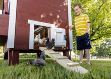 Load image into Gallery viewer, Large Chicken Coop - Up to 15 Chickens
