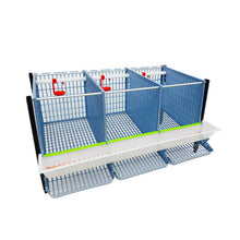 Load image into Gallery viewer, Chicken Cage - 2 Layer H: 15&quot;
