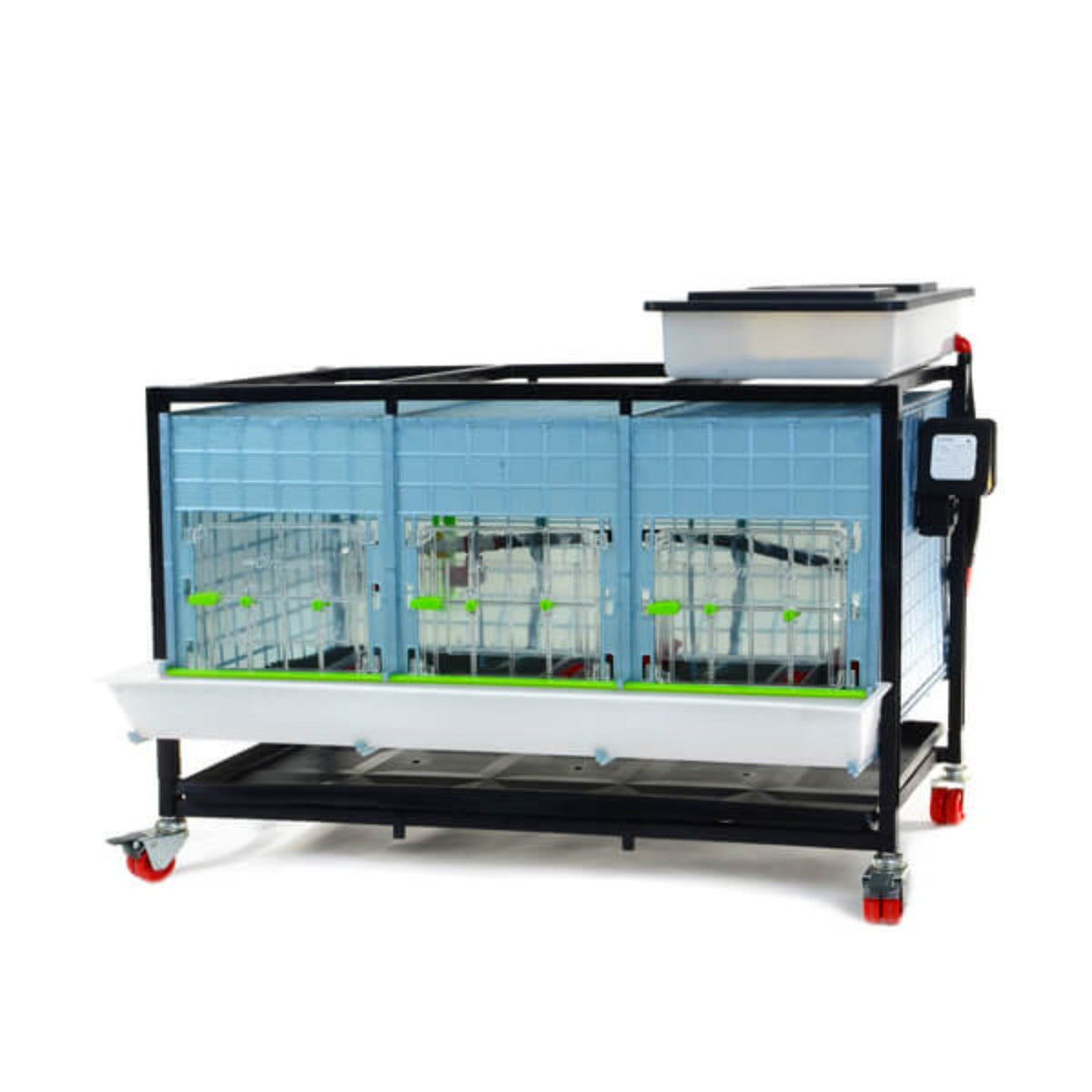 Chick Brooder - 1 Layer H: 15