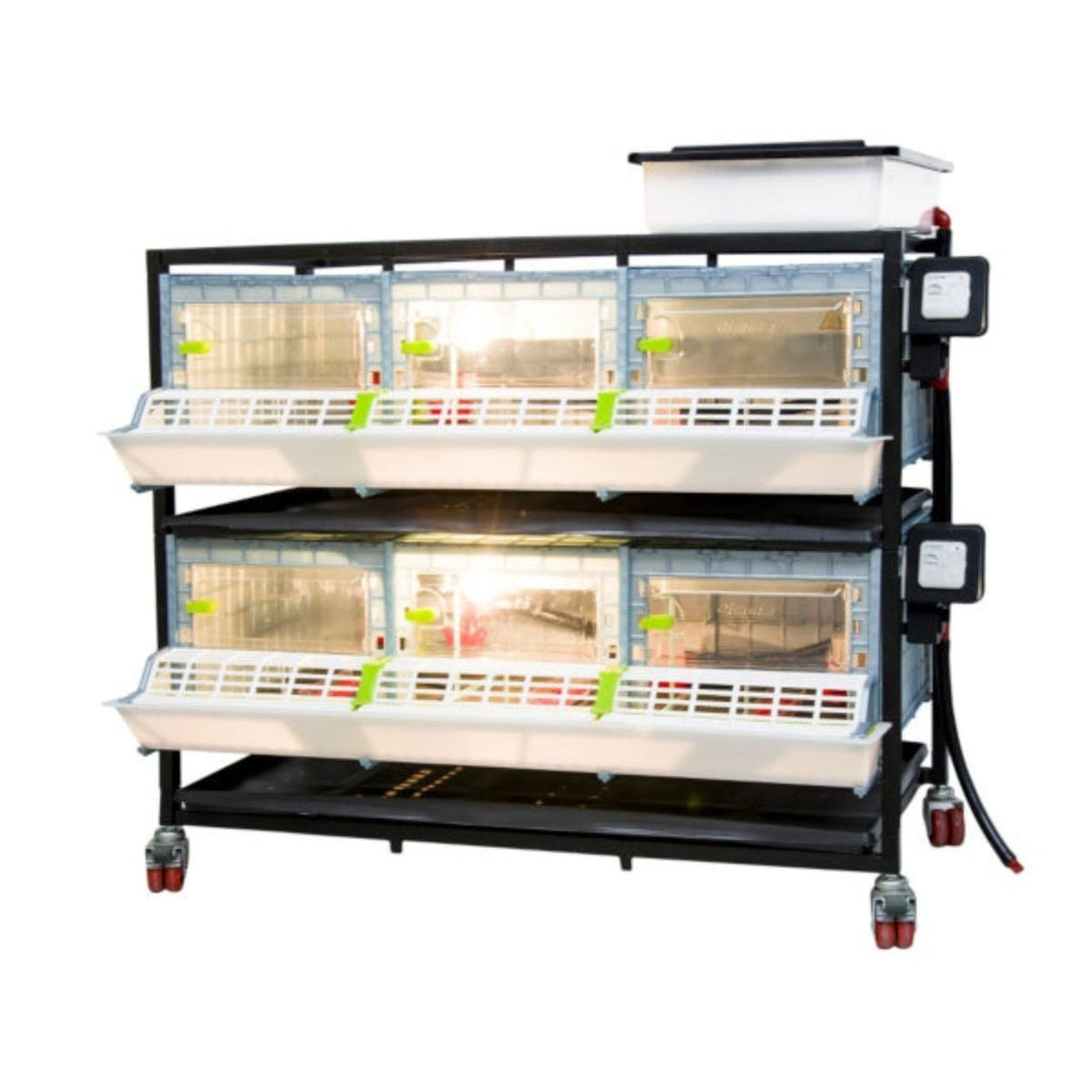 Chick Brooder - 2 Layer H: 9.5