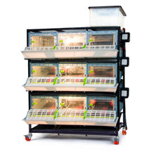 Load image into Gallery viewer, Chick Brooder - 3 Layer H: 9.5&quot;
