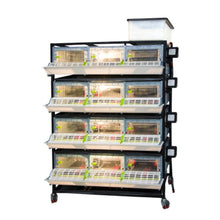Load image into Gallery viewer, Chick Brooder - 4 Layer H: 9.5&quot;
