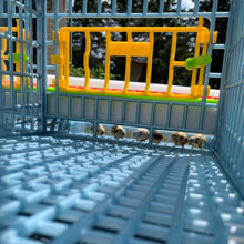 Load image into Gallery viewer, Quail Cage - 4 Layer
