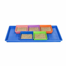 Load image into Gallery viewer, Classroom Microgreens Bundle
