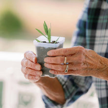 Load image into Gallery viewer, Propagation Kit | For Cuttings, Seedlings and More
