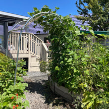 Load image into Gallery viewer, DIY Garden Arch
