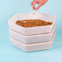 Load image into Gallery viewer, The Mealworm Growing Pods
