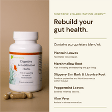 Load image into Gallery viewer, Digestive Rehabilitation Herbs
