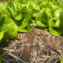 Load image into Gallery viewer, Greenhouse Drip Irrigation Kit
