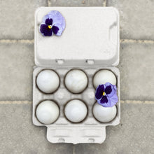 Load image into Gallery viewer, Henlay Duck Egg Cartons — Holds Half Dozen Jumbo Eggs — Blank Flat Top, 2 colors, 20 or 100
