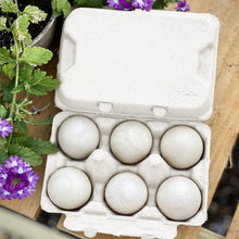 Load image into Gallery viewer, Henlay Duck Egg Cartons — Holds Half Dozen Jumbo Eggs — Blank Flat Top, 2 colors, 20 or 100
