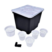 Load image into Gallery viewer, Dutch Bucket
